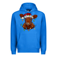 True Royal Christmas baby red angus calf with lights Premium Hoodie - RanaPortraitStore