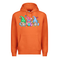 Carrot easter gnomes Premium Hoodie - Zillion Design Studio