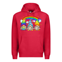 Cardinal rainbow gnomes Premium Hoodie - Zillion Design Studio