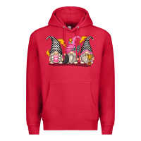 Cardinal race gnomes Premium Hoodie - Zillion Design Studio