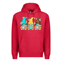 Cardinal daisy gnomes Premium Hoodie - Zillion Design Studio