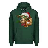 Sports Green Christmas Glasses Goat Premium Hoodie - RanaPortraitStore