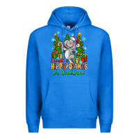 True Royal i want a hippopotamus for christmas Premium Hoodie - Zillion Design Studio