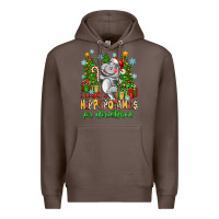 Coffee i want a hippopotamus for christmas Premium Hoodie - Zillion Design Studio