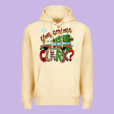 Premium Hoodie you serious clark
