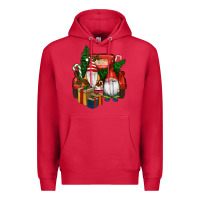 Cardinal Christmas Truck And Gnome Premium Hoodie - RanaPortraitStore