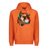 Carrot Christmas Truck And Gnome Premium Hoodie - RanaPortraitStore