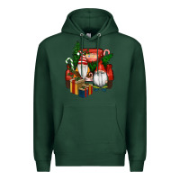 Sports Green Christmas Truck And Gnome Premium Hoodie - RanaPortraitStore