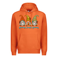 Carrot gnomes sweet gnomes Premium Hoodie - Zillion Design Studio