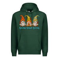 Sports Green gnomes sweet gnomes Premium Hoodie - Zillion Design Studio