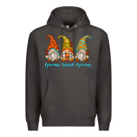Smoke gnomes sweet gnomes Premium Hoodie - Zillion Design Studio