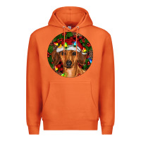 Carrot Christmas Dachshund Premium Hoodie - RanaPortraitStore