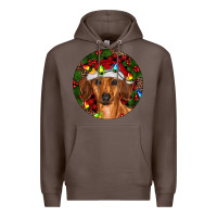 Coffee Christmas Dachshund Premium Hoodie - RanaPortraitStore