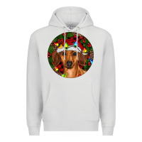 Dove Grey Christmas Dachshund Premium Hoodie - RanaPortraitStore