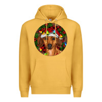Christmas Dachshund Premium Hoodie | Teevron