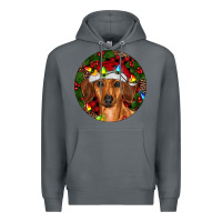 Rock Christmas Dachshund Premium Hoodie - RanaPortraitStore