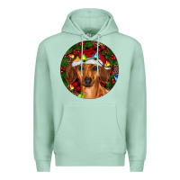 Seafoam Christmas Dachshund Premium Hoodie - RanaPortraitStore