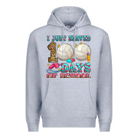 Heather Grey i just served 100 days of school volleyball Premium Hoodie - Zillion Design Studio