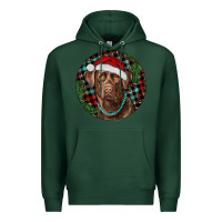 Sports Green Labrador Retriever Christmas Premium Hoodie - RanaPortraitStore