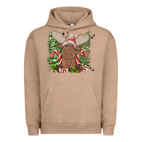 Pigment Burro christmas reindeer Urban Hoodie - MaliasSmallBusiness