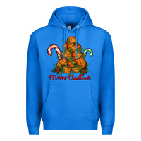 True Royal Merry Christmas Basketball Premium Hoodie - RanaPortraitStore