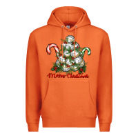 Carrot Merry Christmas Volleyball Premium Hoodie - RanaPortraitStore