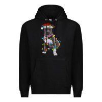 Black Pitbull With Christmas Lights Premium Hoodie - RanaPortraitStore