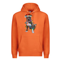 Carrot Pitbull With Christmas Lights Premium Hoodie - RanaPortraitStore