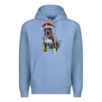 Colony Blue Pitbull With Christmas Lights Premium Hoodie - RanaPortraitStore
