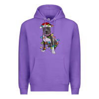 Purple Pitbull With Christmas Lights Premium Hoodie - RanaPortraitStore