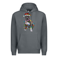 Rock Pitbull With Christmas Lights Premium Hoodie - RanaPortraitStore