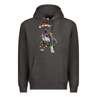 Smoke Pitbull With Christmas Lights Premium Hoodie - RanaPortraitStore