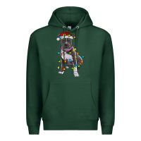 Sports Green Pitbull With Christmas Lights Premium Hoodie - RanaPortraitStore