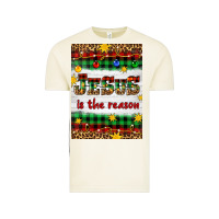 Vintage Arctic Christmas Jesus Is The Reason Vintage Tee - Artiststas