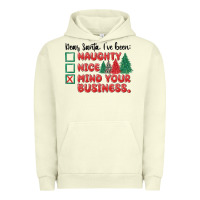 Pigment Pistachio dear santa ive been Urban Hoodie - MaliasSmallBusiness