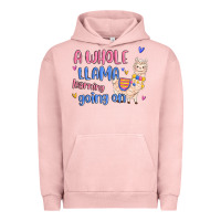 Pigment Salmon a whole llama learning going on Urban Hoodie - MaliasSmallBusiness