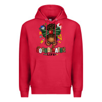 Cardinal educational coordinator life afro messy bun Premium Hoodie - texasbilliewilder