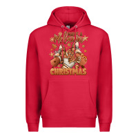 Cardinal Have a melanin Christmas black girl sneakers Premium Hoodie - RanaPortraitStore