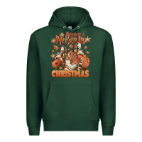Sports Green Have a melanin Christmas black girl sneakers Premium Hoodie - RanaPortraitStore
