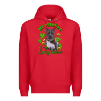 Red st patricks day my pitbuli my lucky charm Premium Hoodie - RanaPortraitStore