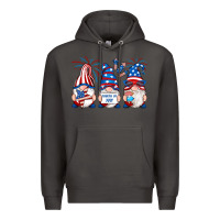 Fourth Of July Gnomes Premium Hoodie | Teevron