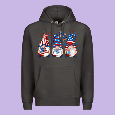 Premium Hoodie fourth of july gnomes