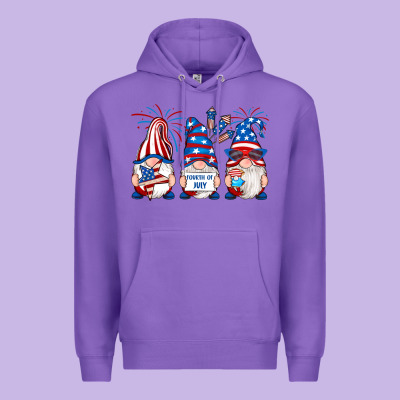 Premium Hoodie fourth of july gnomes