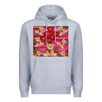 Heather Grey valentines day teddy bear tumbler Premium Hoodie - RanaPortraitStore