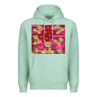 Seafoam valentines day teddy bear tumbler Premium Hoodie - RanaPortraitStore