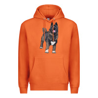 Carrot American akita Premium Hoodie - RanaPortraitStore