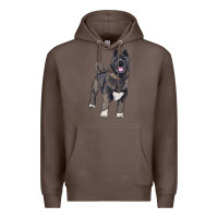 Coffee American akita Premium Hoodie - RanaPortraitStore