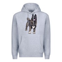 Heather Grey American akita Premium Hoodie - RanaPortraitStore