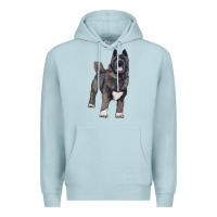 Blue Mist American akita Premium Hoodie - RanaPortraitStore