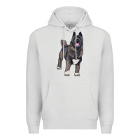 Dove Grey American akita Premium Hoodie - RanaPortraitStore